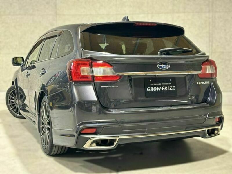 LEVORG-4