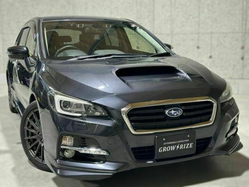 LEVORG-15