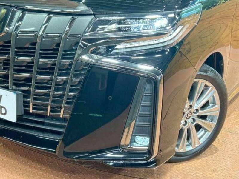 ALPHARD-12