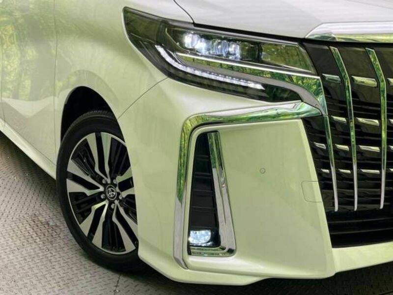 ALPHARD-13