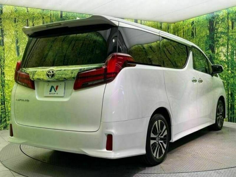 ALPHARD-18