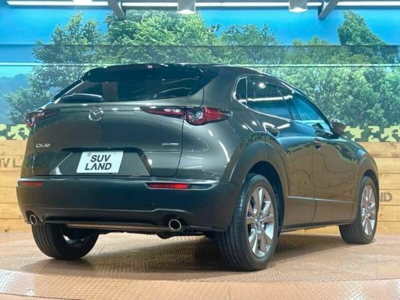 CX-30-17