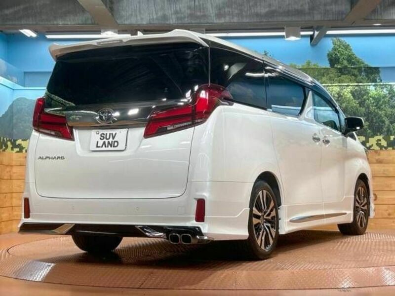 ALPHARD-17