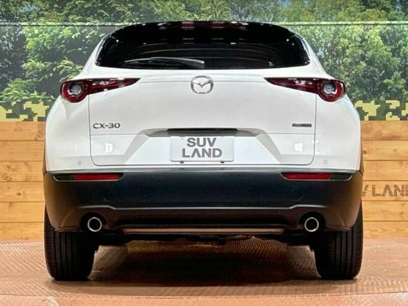 CX-30-15