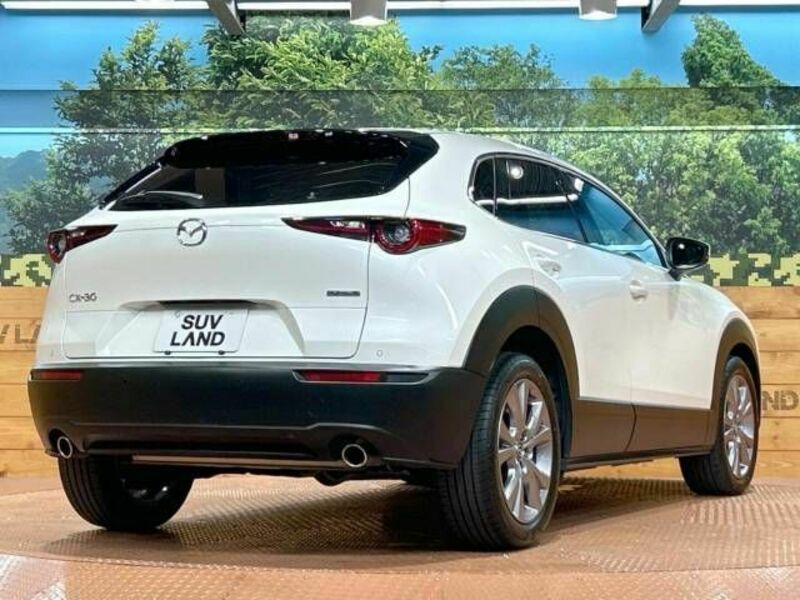 CX-30-17