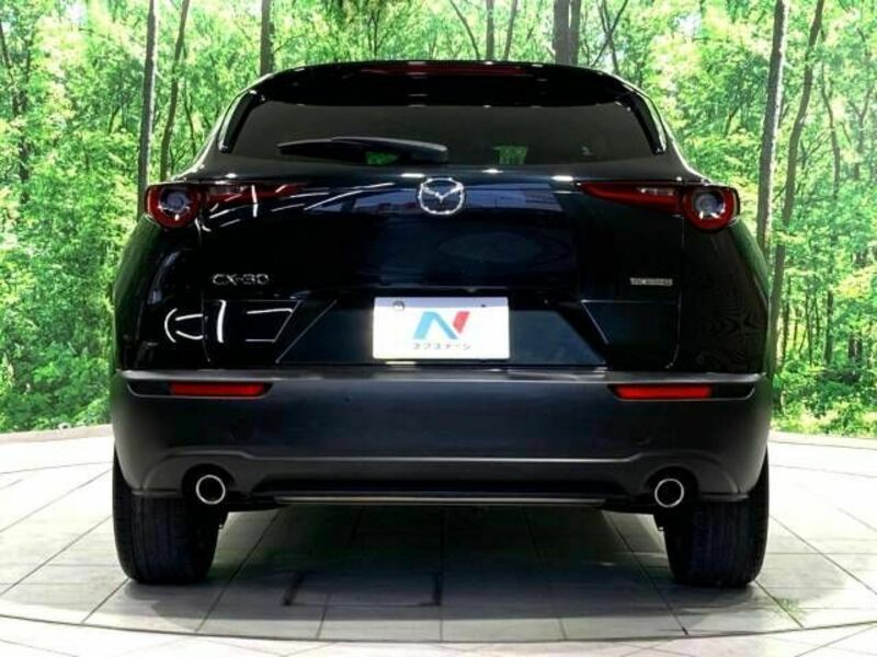 CX-30-15