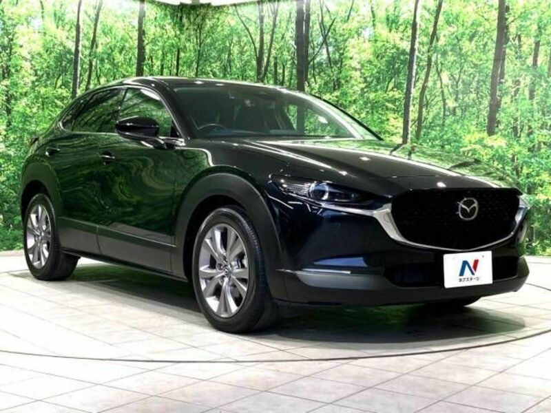 CX-30-16