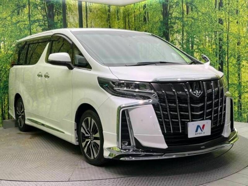 ALPHARD-16