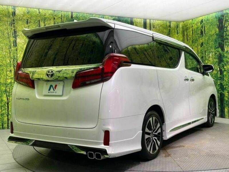 ALPHARD-17