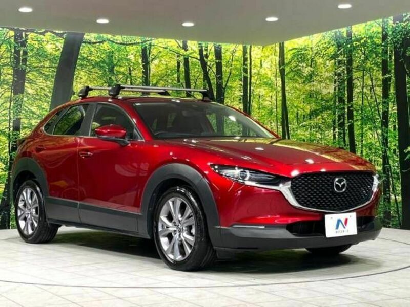 CX-30-16