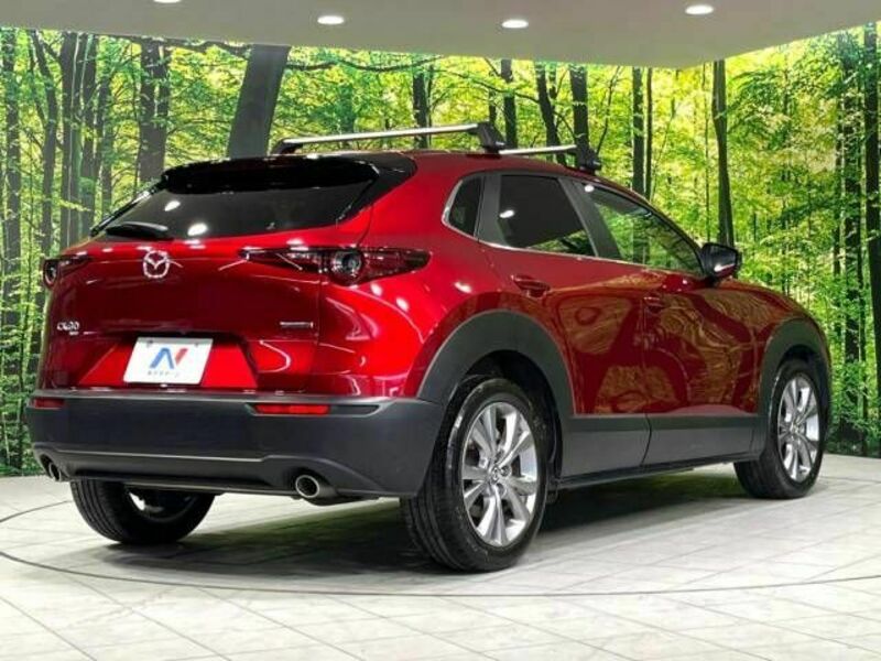 CX-30-17