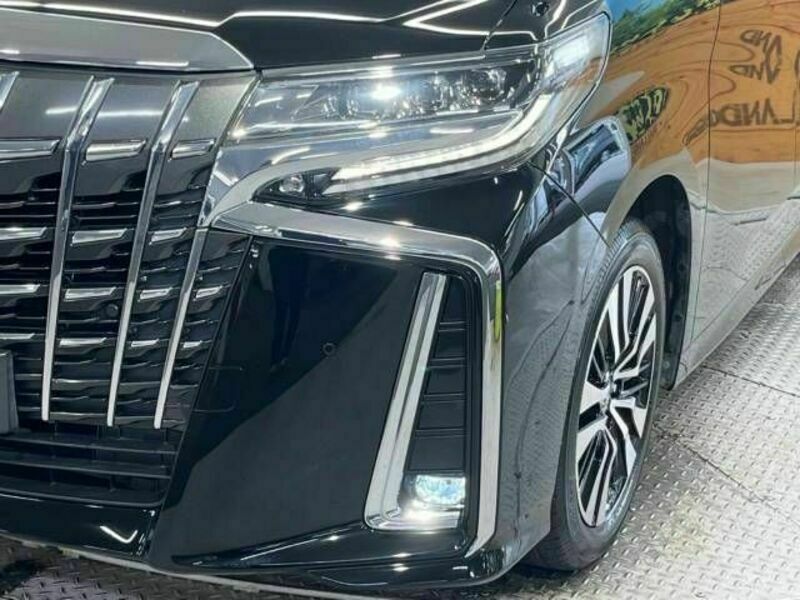 ALPHARD-13