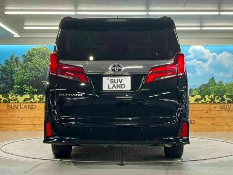 ALPHARD-16