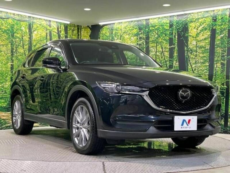 CX-5-17