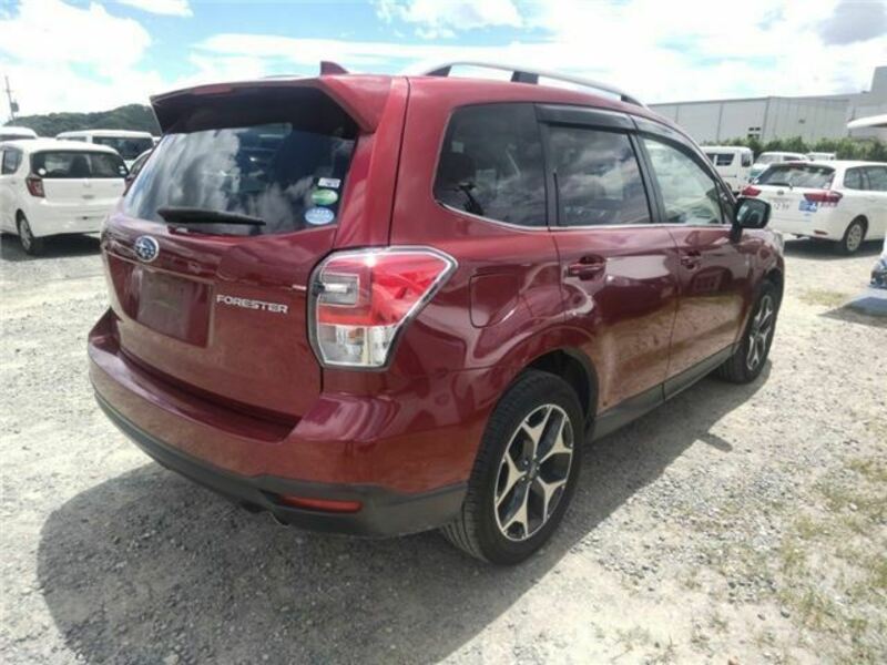 FORESTER-1