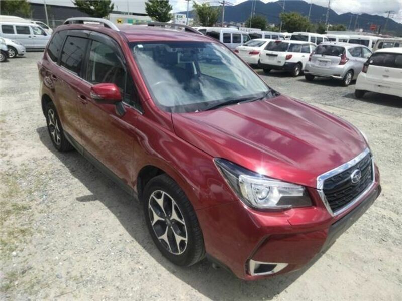 FORESTER-3