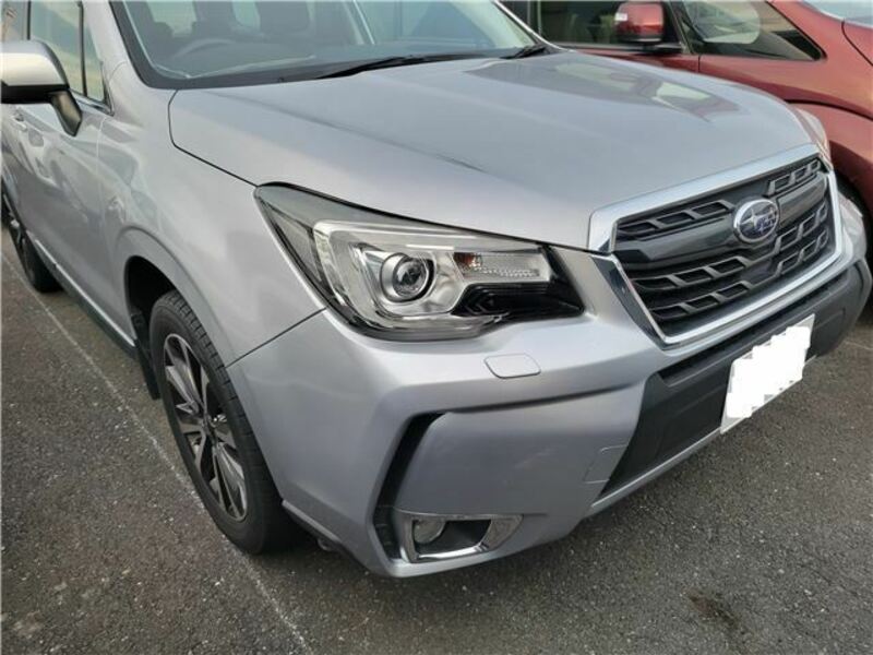 FORESTER-3