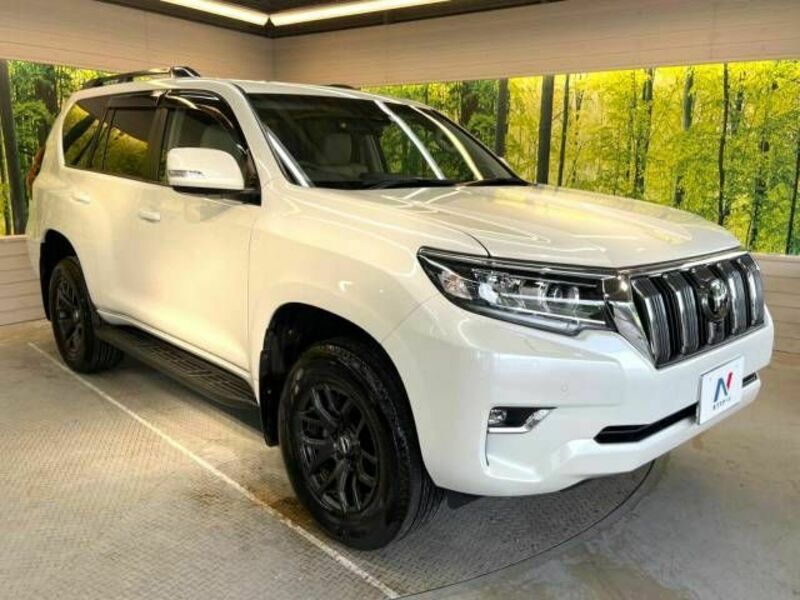 LAND CRUISER PRADO-18