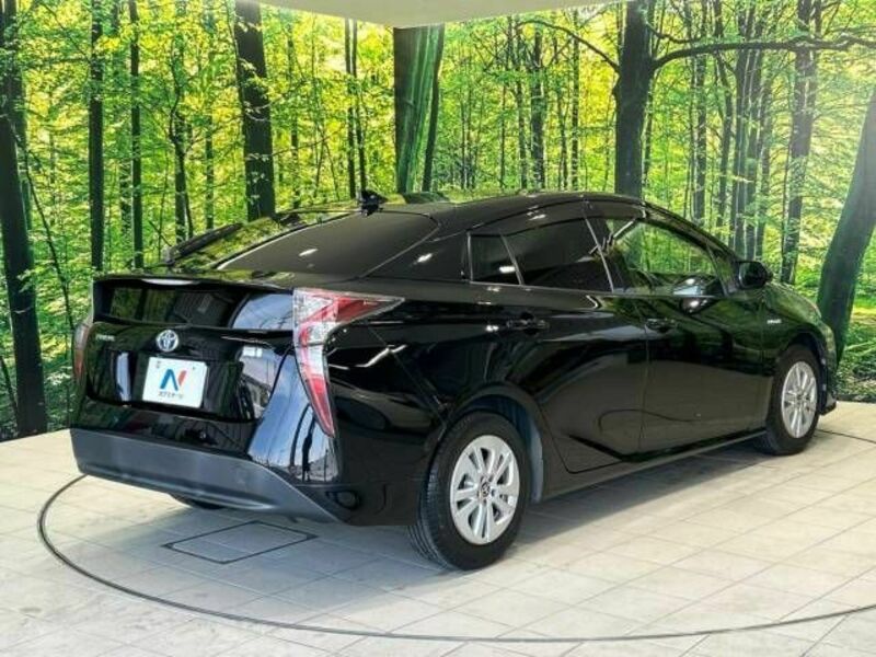 PRIUS-17