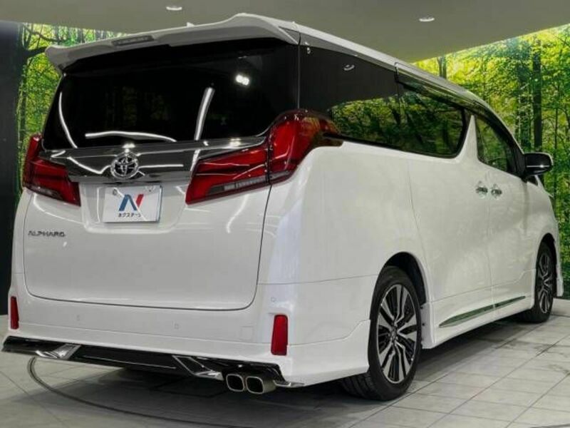 ALPHARD-17