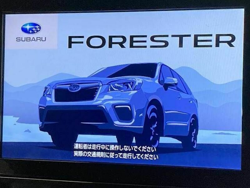 FORESTER-3