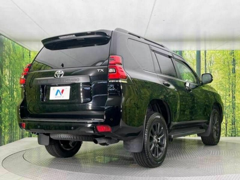 LAND CRUISER PRADO-18