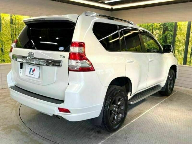 LAND CRUISER PRADO-18