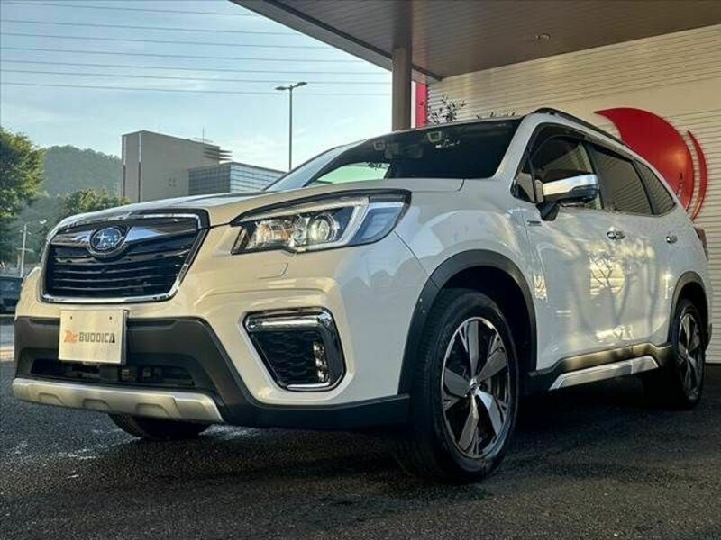 FORESTER-20