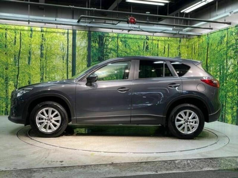 CX-5-19