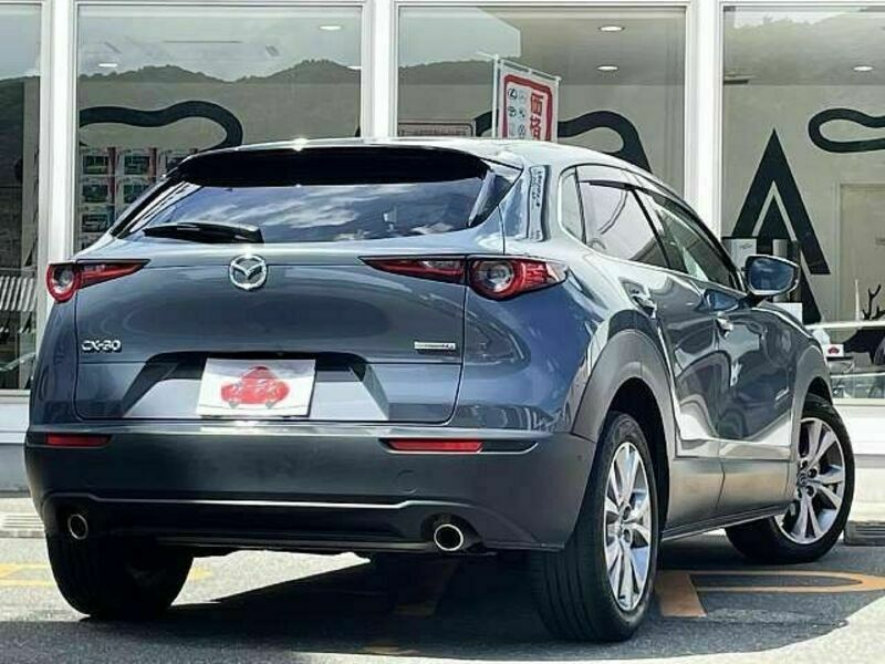 CX-30-2