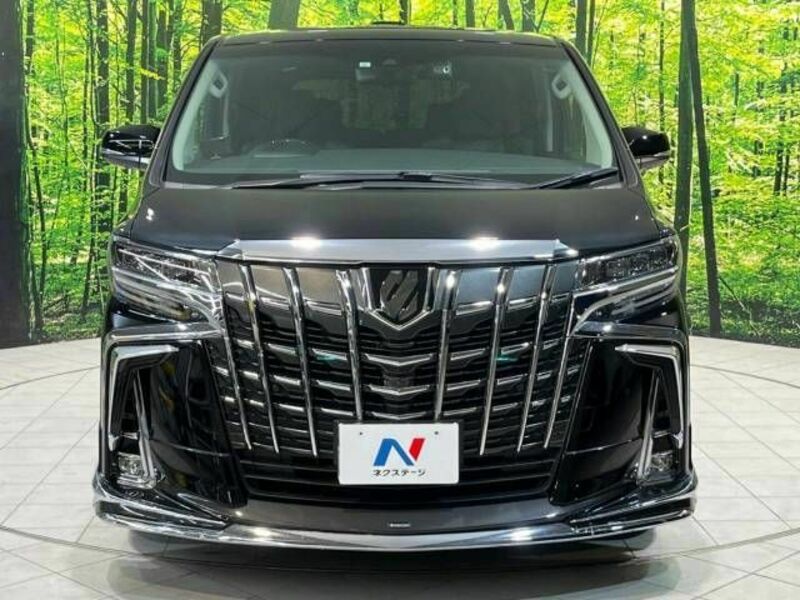 ALPHARD-14