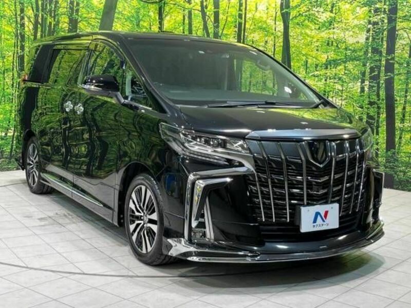 ALPHARD-16