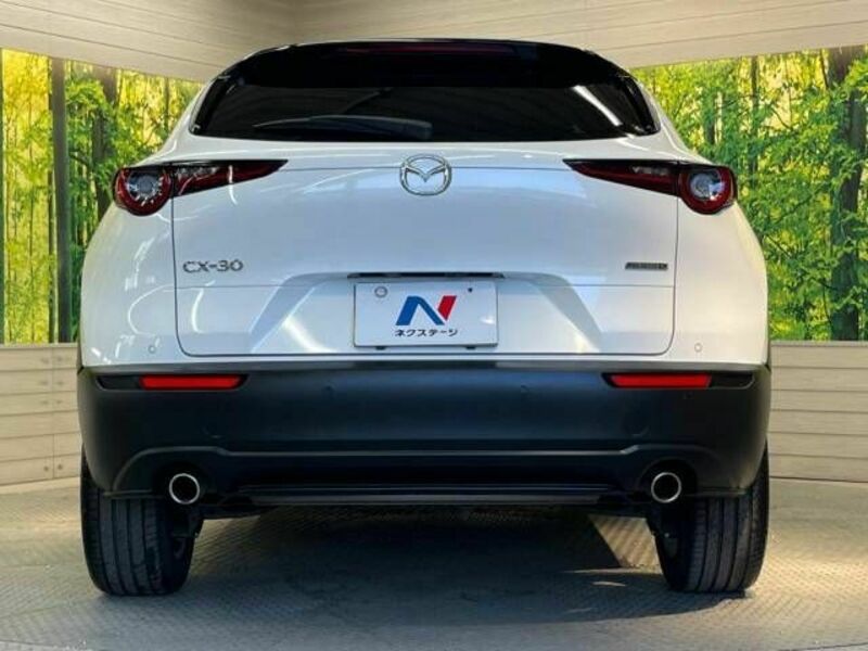 CX-30-15