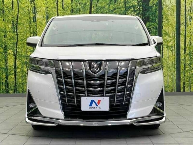 ALPHARD-15