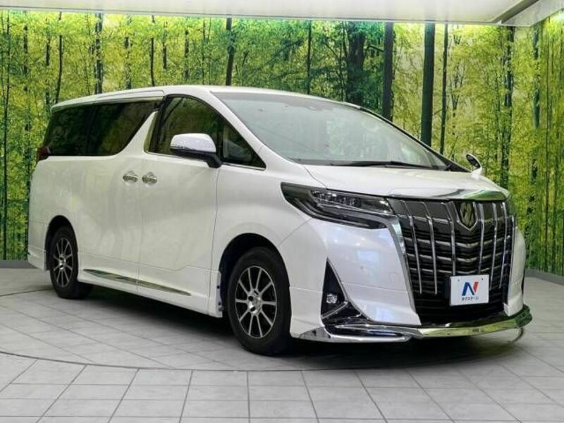 ALPHARD-17