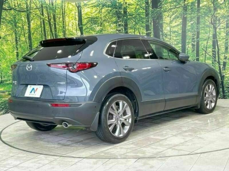 CX-30-17