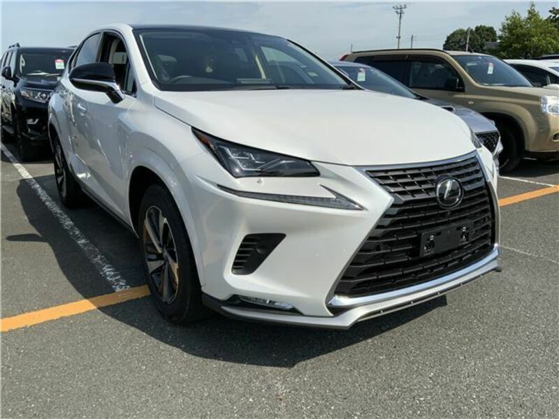 LEXUS　NX