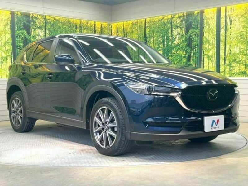 CX-5-17