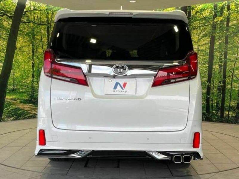 ALPHARD-16