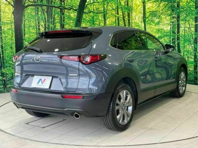 CX-30-17