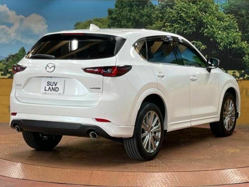 CX-5-17