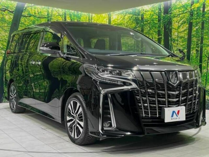 ALPHARD-16