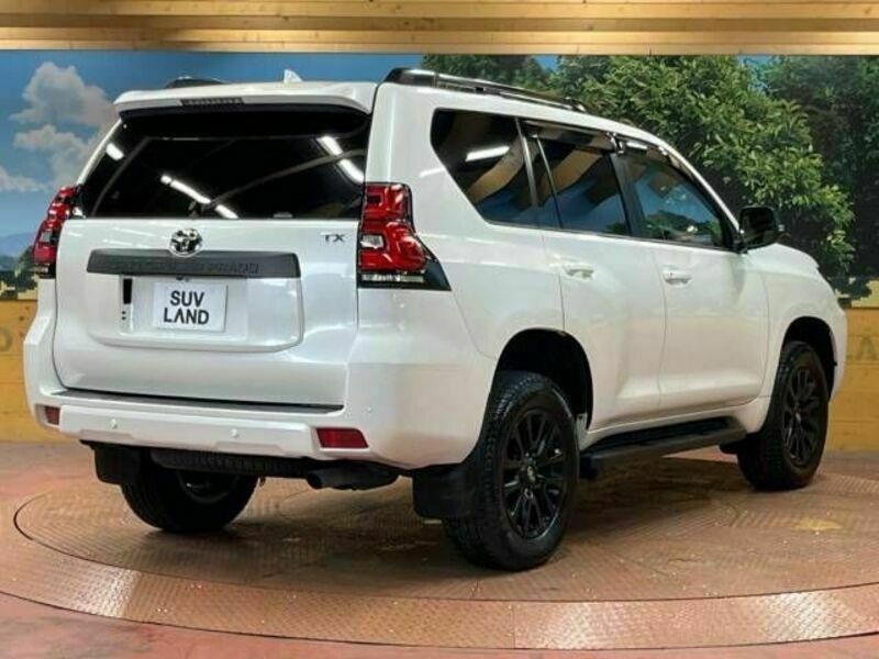 LAND CRUISER PRADO-18