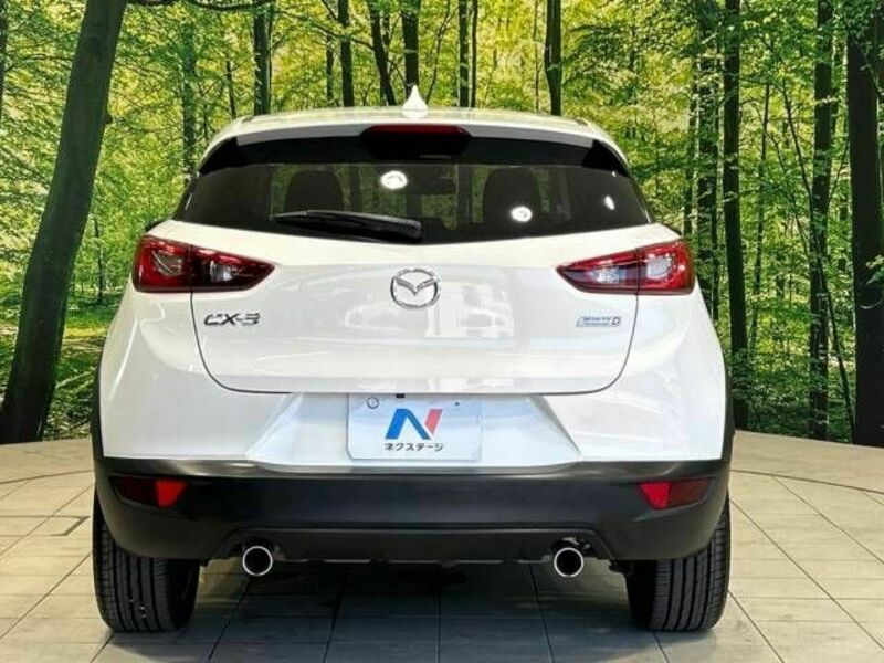 CX-3-15