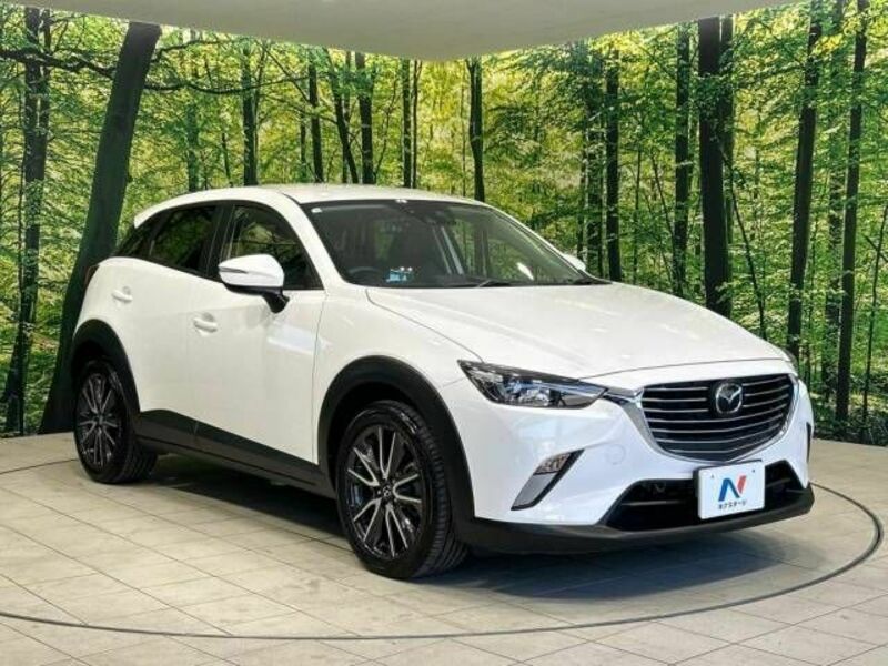 CX-3-16