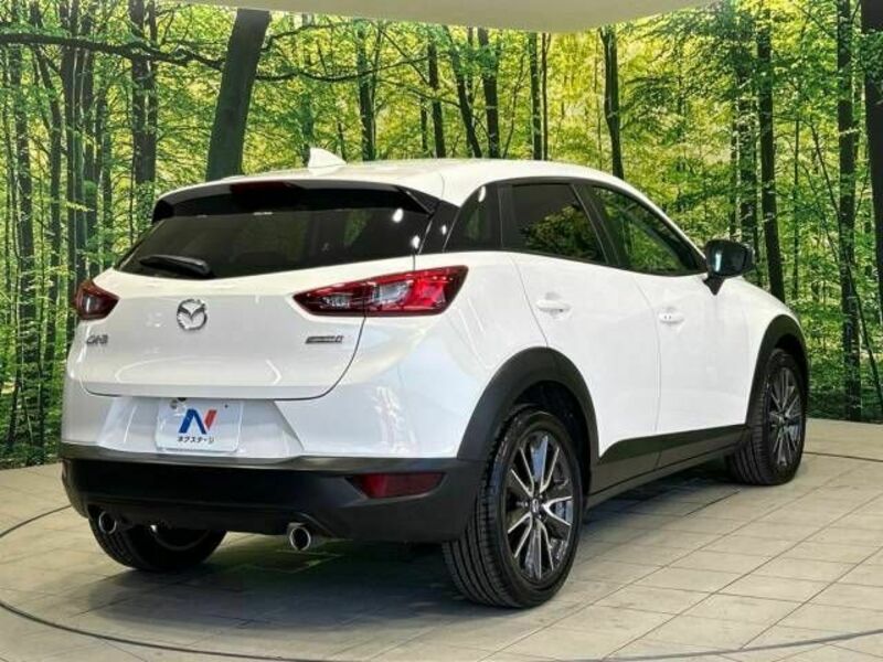 CX-3-17