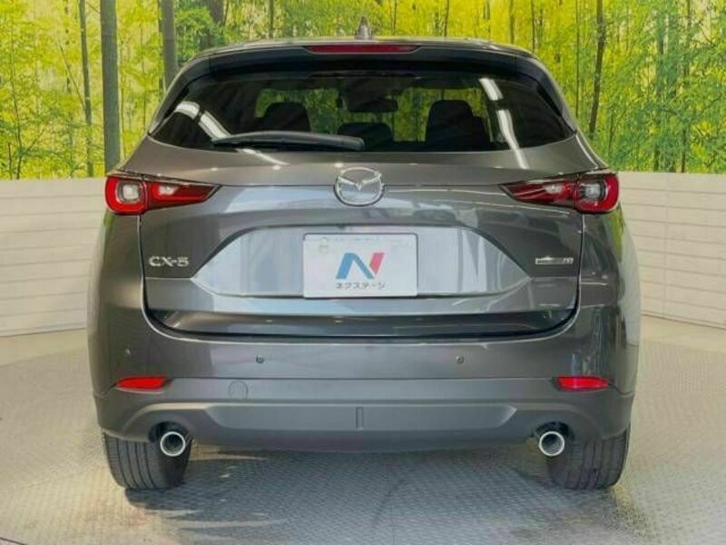 CX-5-15