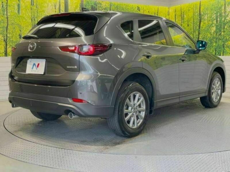 CX-5-17