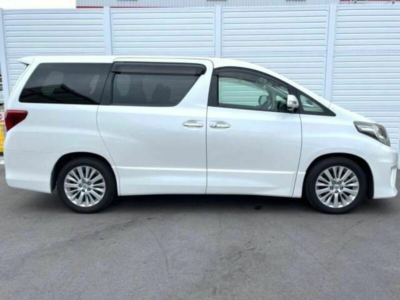 ALPHARD-19