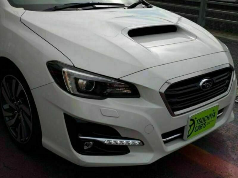 LEVORG-9